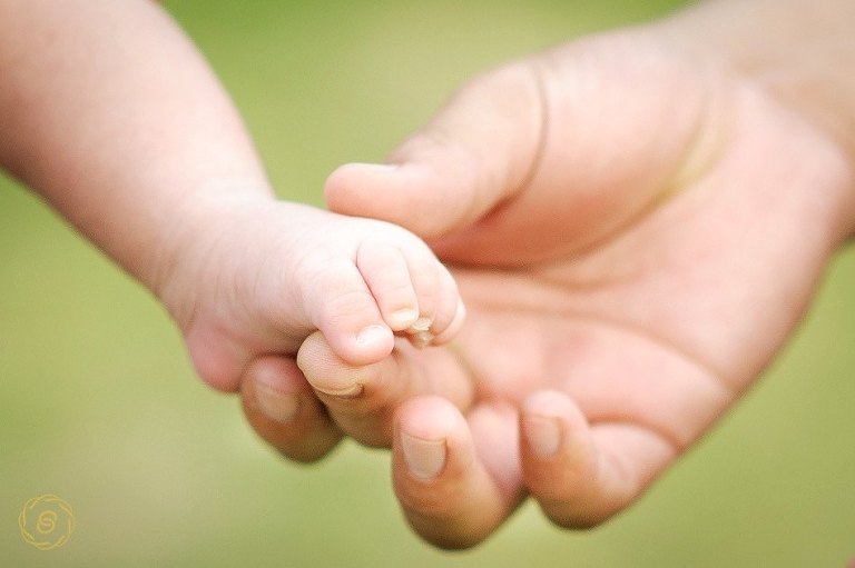 Parque Autonómico Santa Cruz de la sierra fotografo de bodas