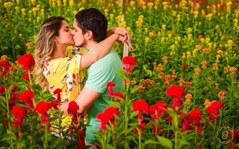 Sesión-de-fotos-en-Holambra-Sao-Paulo