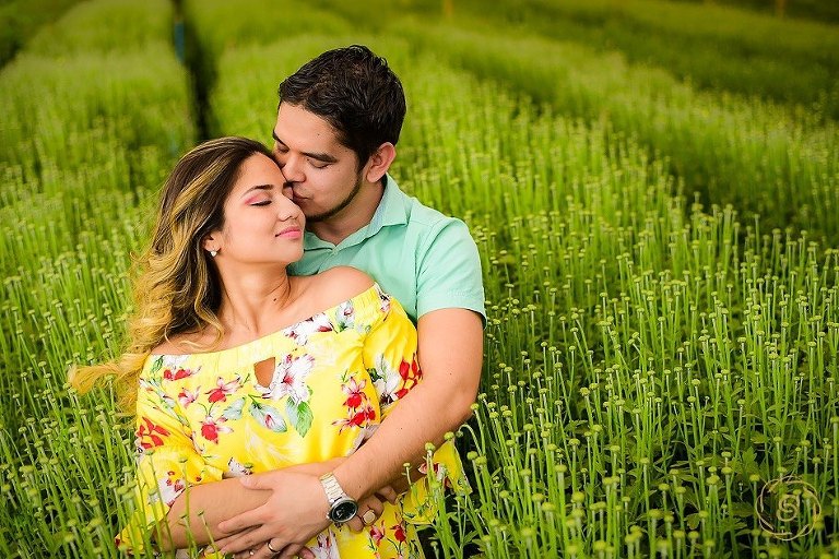 Sesión-de-fotos-en-Holambra-Sao-Paulo