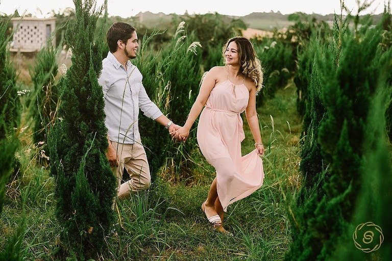 Sesión-de-fotos-en-Holambra-Sao-Paulo