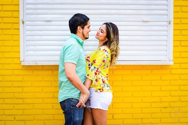 Sesión-de-fotos-en-Holambra-Sao-Paulo